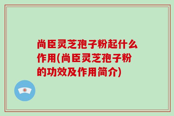 尚臣灵芝孢子粉起什么作用(尚臣灵芝孢子粉的功效及作用简介)