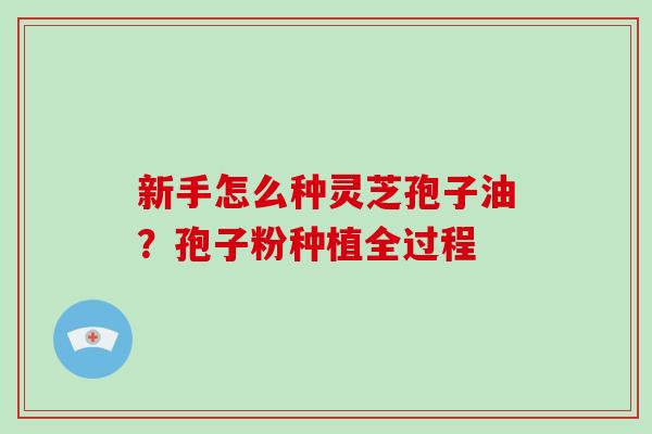 新手怎么种灵芝孢子油？孢子粉种植全过程