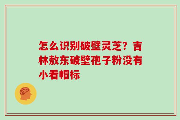 怎么识别破壁灵芝？吉林敖东破壁孢子粉没有小看帽标