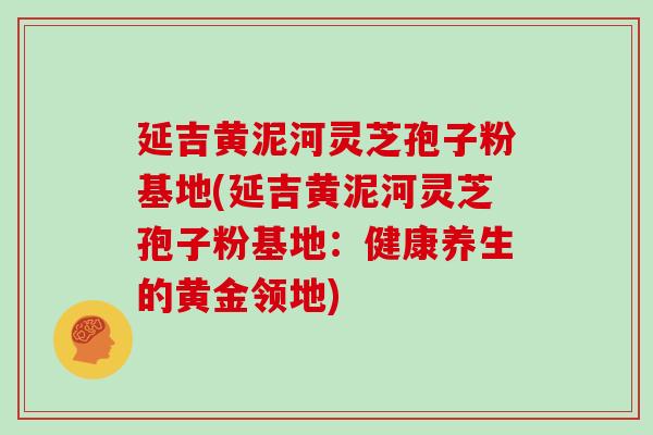 延吉黄泥河灵芝孢子粉基地(延吉黄泥河灵芝孢子粉基地：健康养生的黄金领地)