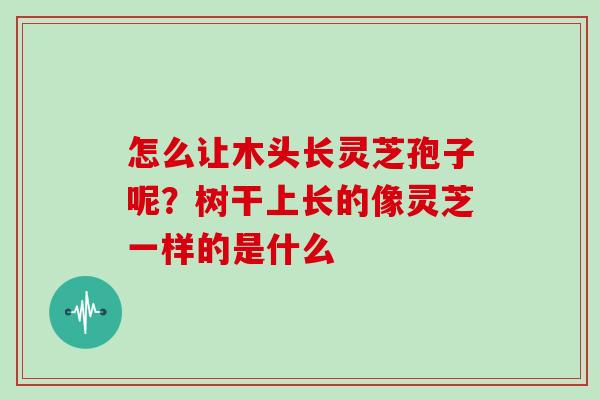 怎么让木头长灵芝孢子呢？树干上长的像灵芝一样的是什么