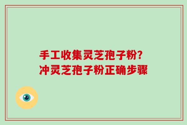 手工收集灵芝孢子粉？冲灵芝孢子粉正确步骤