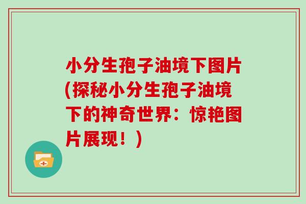 小分生孢子油境下图片(探秘小分生孢子油境下的神奇世界：惊艳图片展现！)