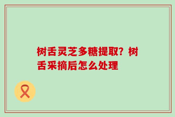 树舌灵芝多糖提取？树舌采摘后怎么处理