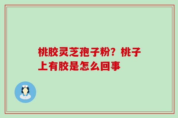 桃胶灵芝孢子粉？桃子上有胶是怎么回事