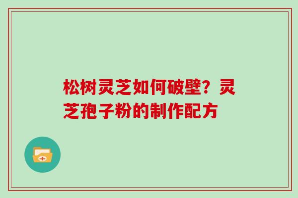 松树灵芝如何破壁？灵芝孢子粉的制作配方