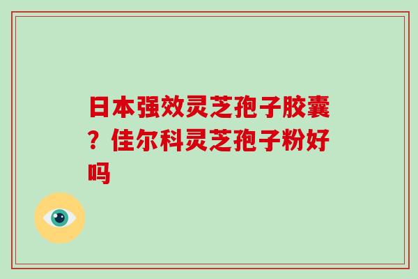 日本强效灵芝孢子胶囊？佳尔科灵芝孢子粉好吗