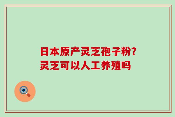 日本原产灵芝孢子粉？灵芝可以人工养殖吗