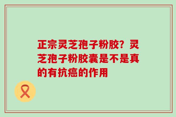 正宗灵芝孢子粉胶？灵芝孢子粉胶囊是不是真的有抗的作用