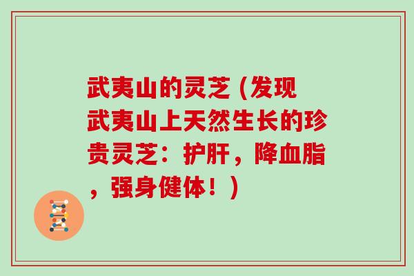 武夷山的灵芝 (发现武夷山上天然生长的珍贵灵芝：，降，强身健体！)