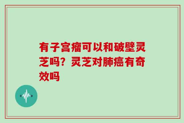 有子宫瘤可以和破壁灵芝吗？灵芝对有奇效吗