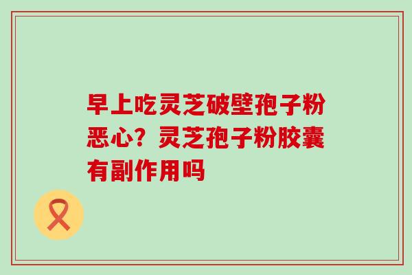 早上吃灵芝破壁孢子粉恶心？灵芝孢子粉胶囊有副作用吗