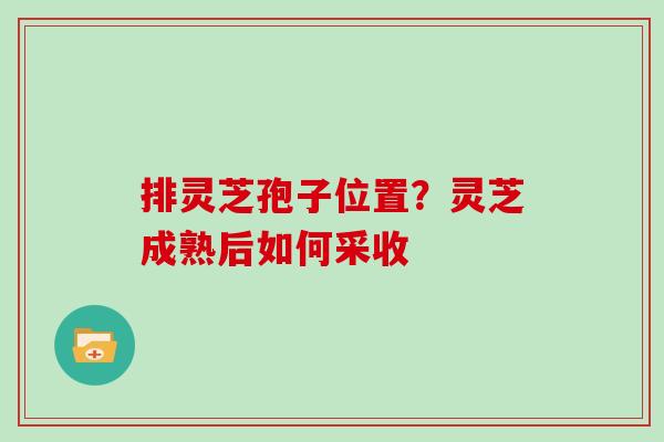 排灵芝孢子位置？灵芝成熟后如何采收