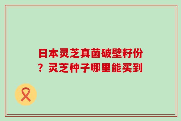 日本灵芝真菌破壁籽份？灵芝种子哪里能买到