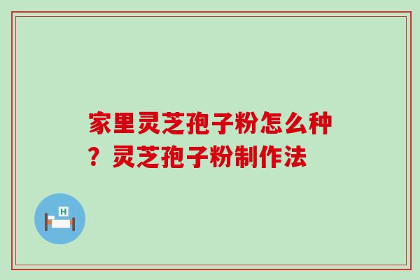 家里灵芝孢子粉怎么种？灵芝孢子粉制作法