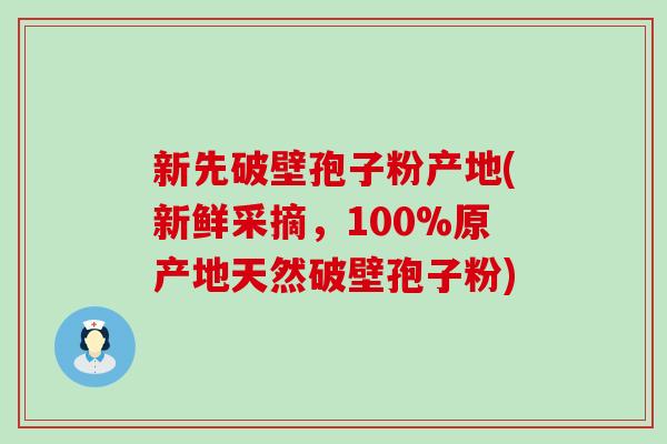 新先破壁孢子粉产地(新鲜采摘，100%原产地天然破壁孢子粉)