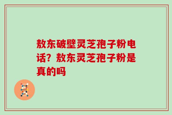 敖东破壁灵芝孢子粉电话？敖东灵芝孢子粉是真的吗