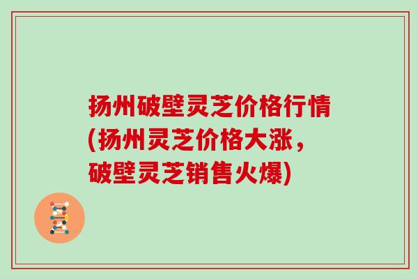 扬州破壁灵芝价格行情(扬州灵芝价格大涨，破壁灵芝销售火爆)