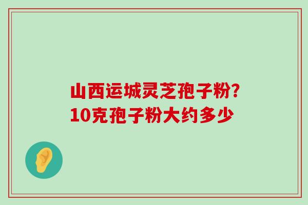 山西运城灵芝孢子粉？10克孢子粉大约多少