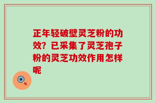 正年轻破壁灵芝粉的功效？已采集了灵芝孢子粉的灵芝功效作用怎样呢