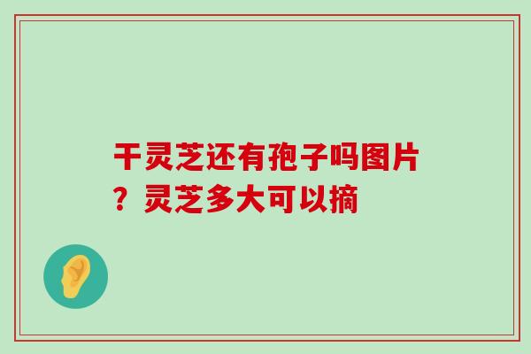 干灵芝还有孢子吗图片？灵芝多大可以摘