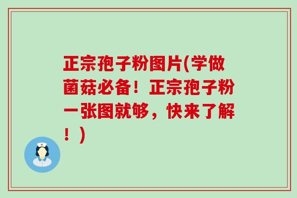 正宗孢子粉图片(学做菌菇必备！正宗孢子粉一张图就够，快来了解！)