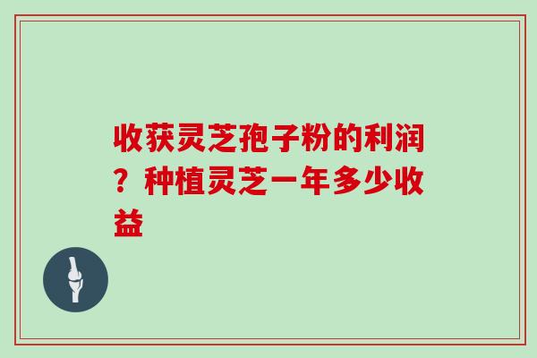 收获灵芝孢子粉的利润？种植灵芝一年多少收益