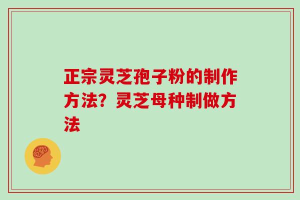 正宗灵芝孢子粉的制作方法？灵芝母种制做方法