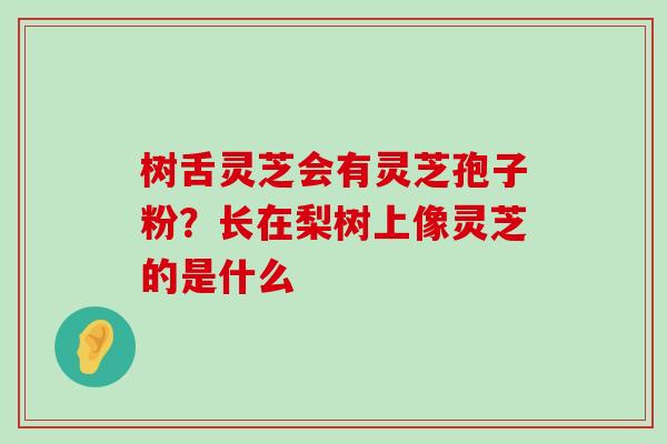 树舌灵芝会有灵芝孢子粉？长在梨树上像灵芝的是什么