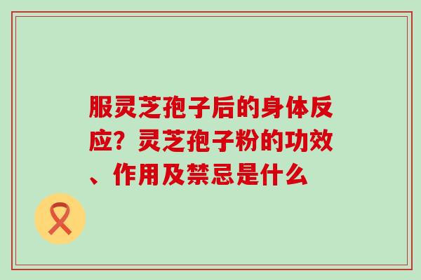 服灵芝孢子后的身体反应？灵芝孢子粉的功效、作用及禁忌是什么