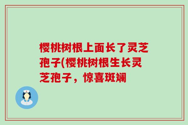 樱桃树根上面长了灵芝孢子(樱桃树根生长灵芝孢子，惊喜斑斓