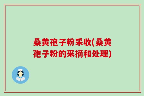 桑黄孢子粉采收(桑黄孢子粉的采摘和处理)