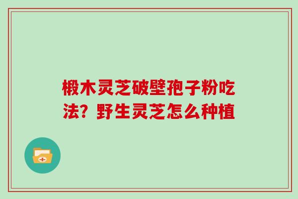 椴木灵芝破壁孢子粉吃法？野生灵芝怎么种植