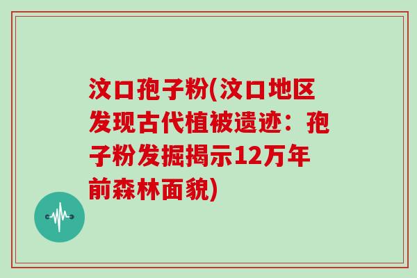 汶口孢子粉(汶口地区发现古代植被遗迹：孢子粉发掘揭示12万年前森林面貌)