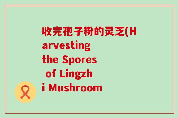 收完孢子粉的灵芝(Harvesting the Spores of Lingzhi Mushroom