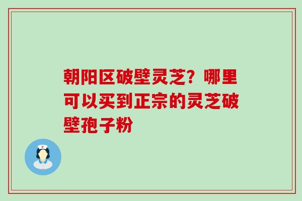 朝阳区破壁灵芝？哪里可以买到正宗的灵芝破壁孢子粉