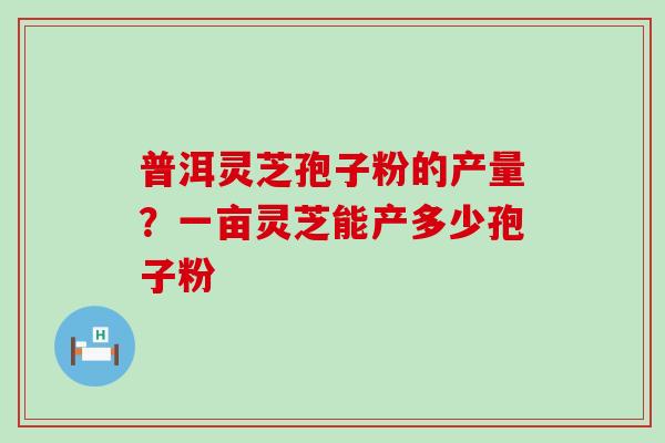 普洱灵芝孢子粉的产量？一亩灵芝能产多少孢子粉