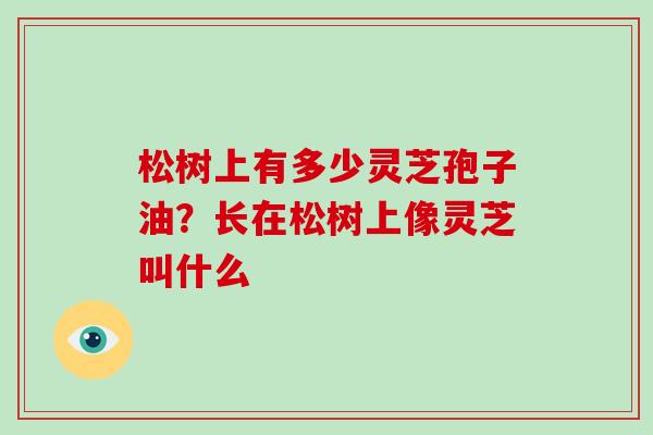 松树上有多少灵芝孢子油？长在松树上像灵芝叫什么