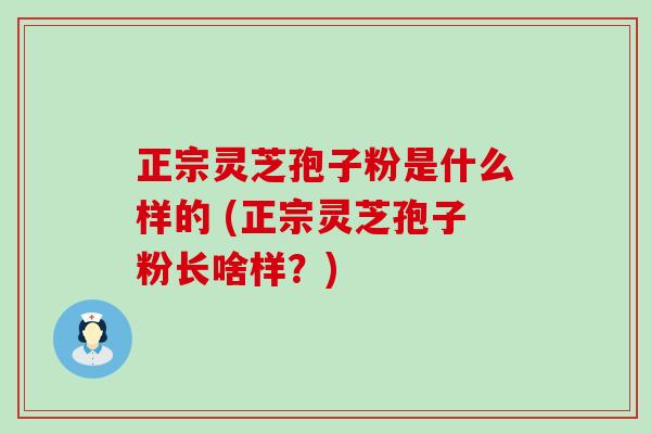 正宗灵芝孢子粉是什么样的 (正宗灵芝孢子粉长啥样？)