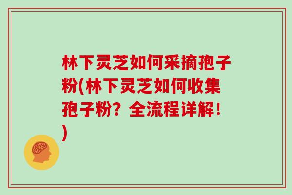 林下灵芝如何采摘孢子粉(林下灵芝如何收集孢子粉？全流程详解！)