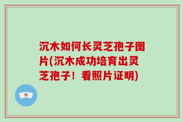 沉木如何长灵芝孢子图片(沉木成功培育出灵芝孢子！看照片证明)