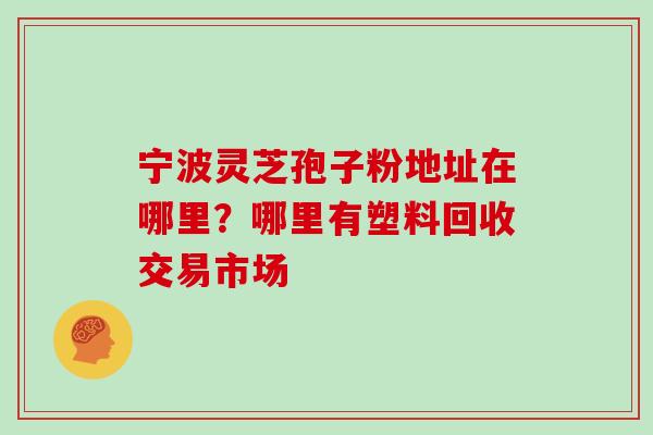 宁波灵芝孢子粉地址在哪里？哪里有塑料回收交易市场