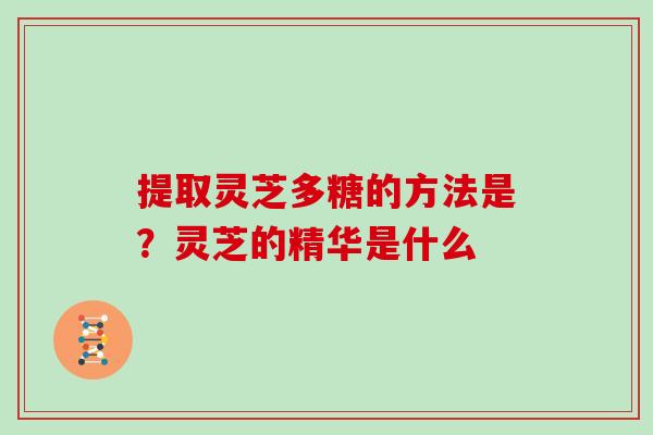 提取灵芝多糖的方法是？灵芝的精华是什么