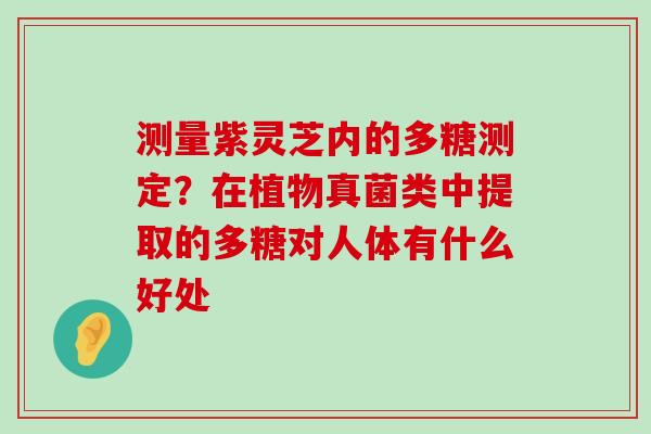 测量紫灵芝内的多糖测定？在植物真菌类中提取的多糖对人体有什么好处