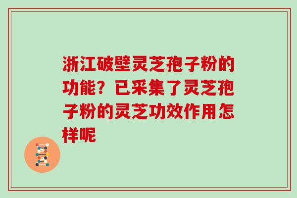 浙江破壁灵芝孢子粉的功能？已采集了灵芝孢子粉的灵芝功效作用怎样呢