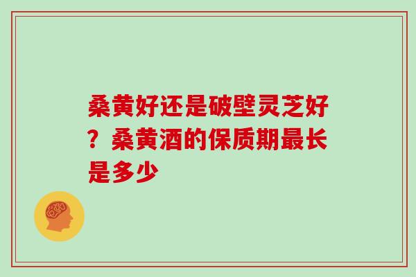 桑黄好还是破壁灵芝好？桑黄酒的保质期长是多少