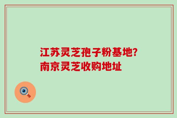 江苏灵芝孢子粉基地？南京灵芝收购地址