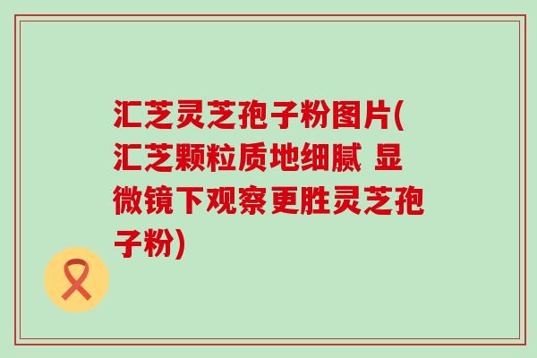 汇芝灵芝孢子粉图片(汇芝颗粒质地细腻 显微镜下观察更胜灵芝孢子粉)