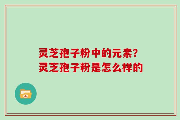 灵芝孢子粉中的元素？灵芝孢子粉是怎么样的