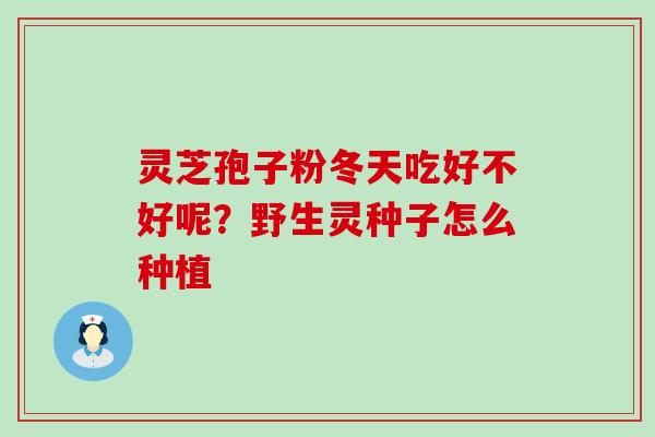 灵芝孢子粉冬天吃好不好呢？野生灵种子怎么种植